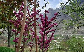 Ayun Fort Inn Chitral Pakistan
